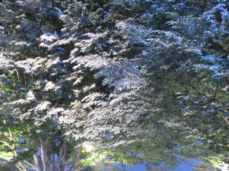 special effects snow tress with flocked snow