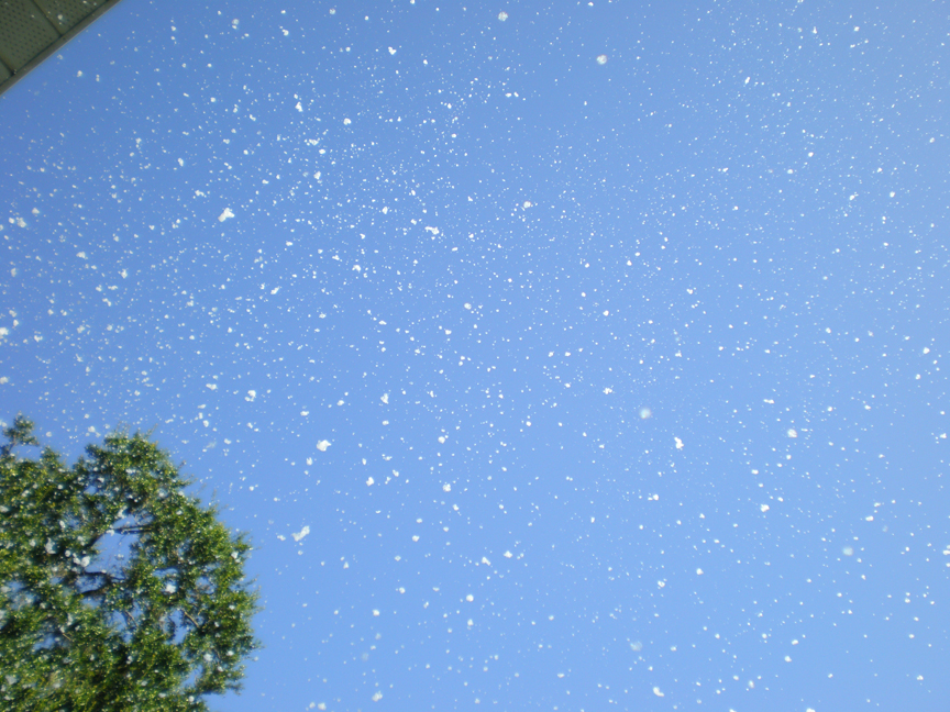 fake snow  snow in the box volume